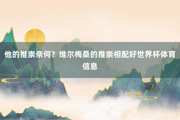他的推崇奈何？维尔梅桑的推崇相配好世界杯体育信息