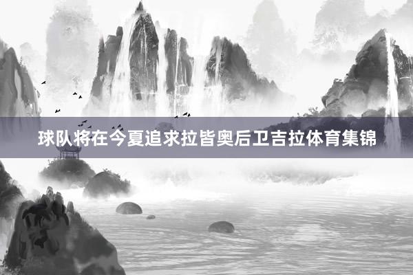 球队将在今夏追求拉皆奥后卫吉拉体育集锦