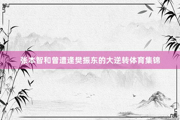 张本智和曾遭逢樊振东的大逆转体育集锦