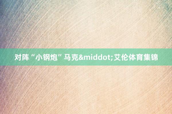 对阵“小钢炮”马克&middot;艾伦体育集锦