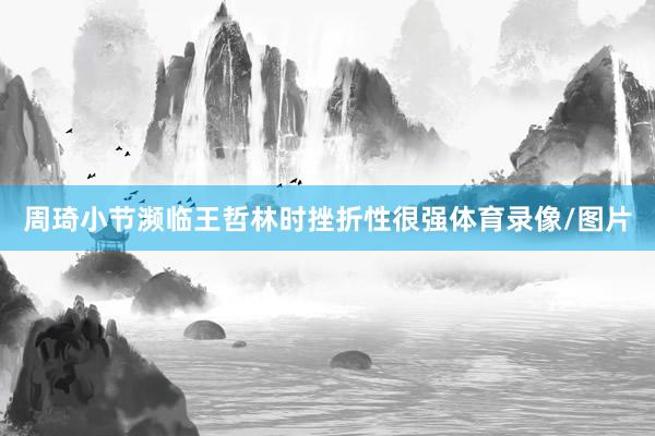 周琦小节濒临王哲林时挫折性很强体育录像/图片