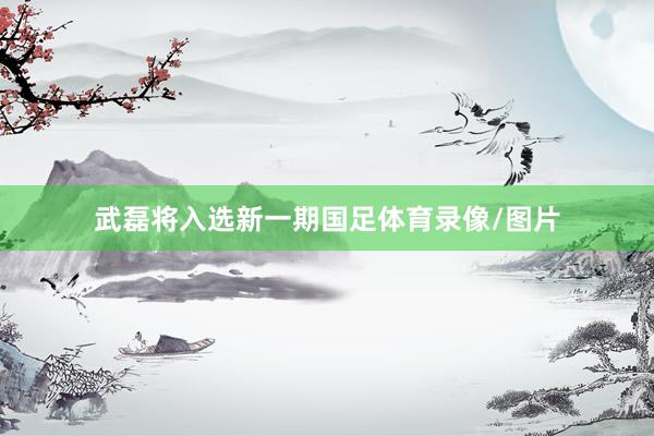 武磊将入选新一期国足体育录像/图片