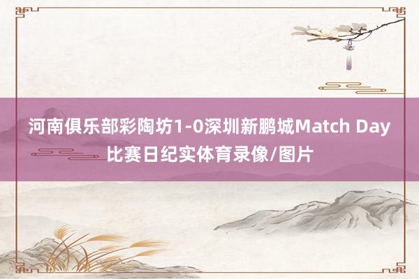 河南俱乐部彩陶坊1-0深圳新鹏城Match Day比赛日纪实体育录像/图片