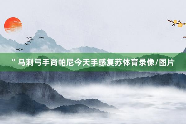 ”马刺弓手尚帕尼今天手感复苏体育录像/图片