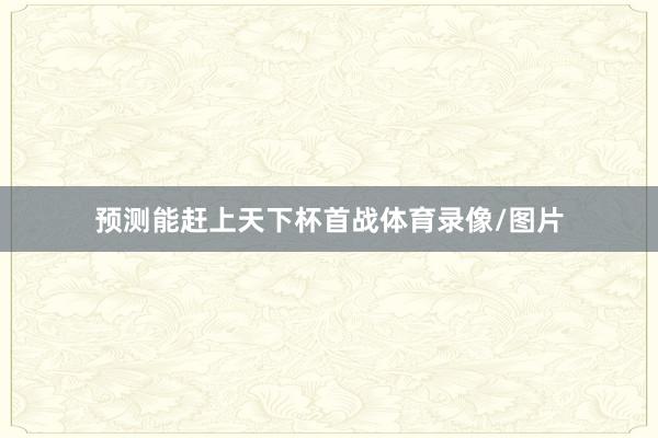 预测能赶上天下杯首战体育录像/图片