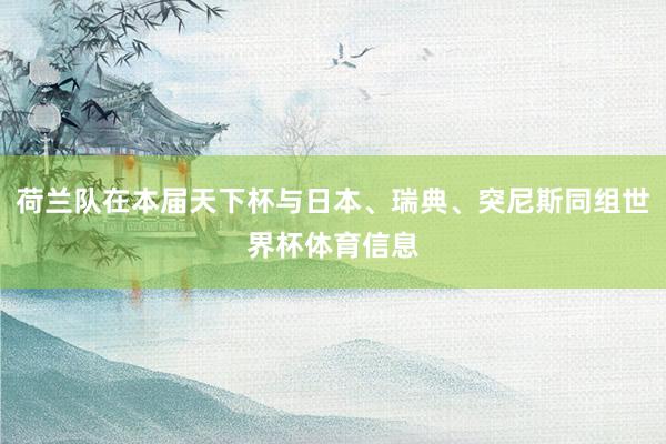 荷兰队在本届天下杯与日本、瑞典、突尼斯同组世界杯体育信息