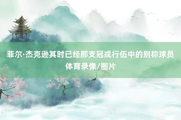 菲尔·杰克逊其时已经那支冠戎行伍中的别称球员体育录像/图片